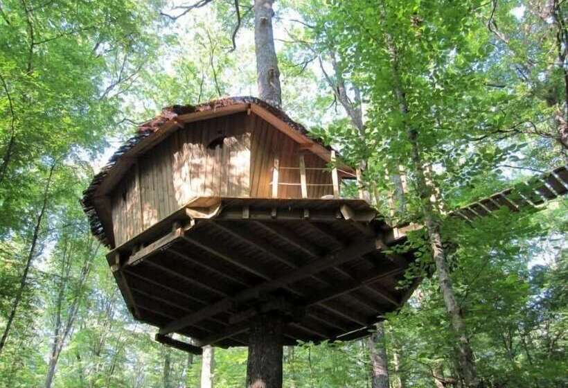 בית מלון כפרי Les Cabanes Du Lac Du Der