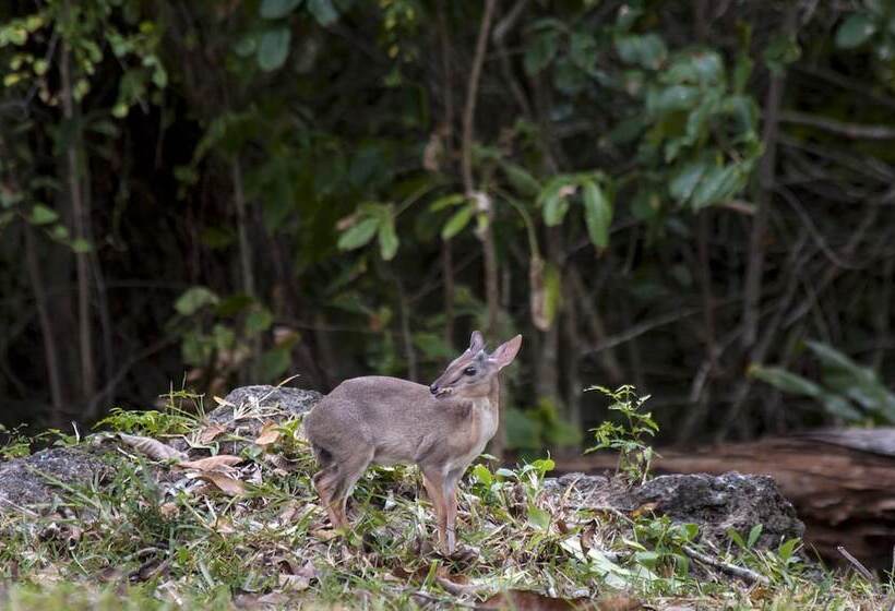 پانسیون Diani House