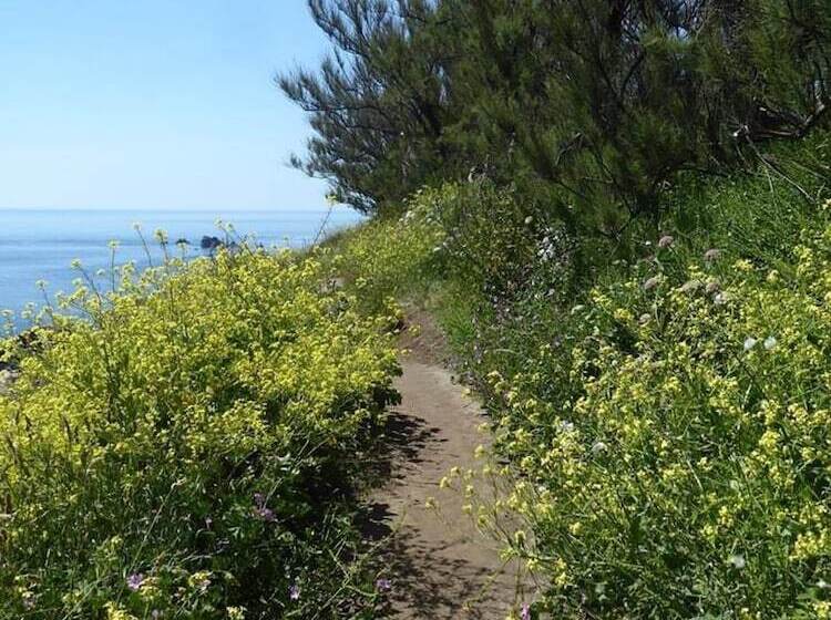 레지던스 Cosy Cottage