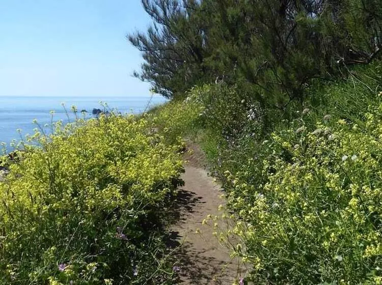 اقامتگاه Cosy Cottage