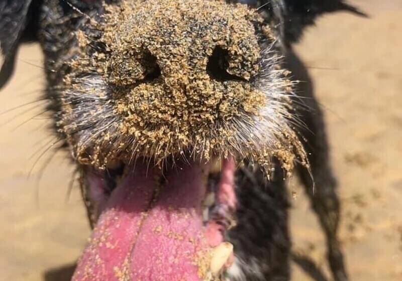 레지던스 Cosy Cottage