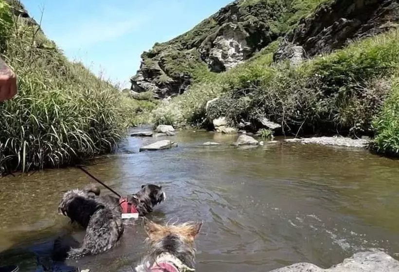 اقامتگاه Cosy Cottage