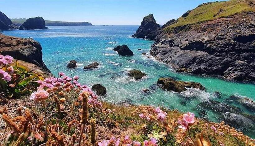 레지던스 Cosy Cottage