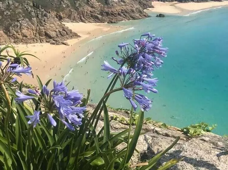 اقامتگاه Cosy Cottage