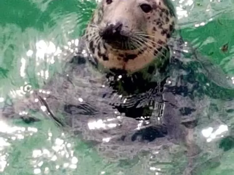 اقامتگاه Cosy Cottage