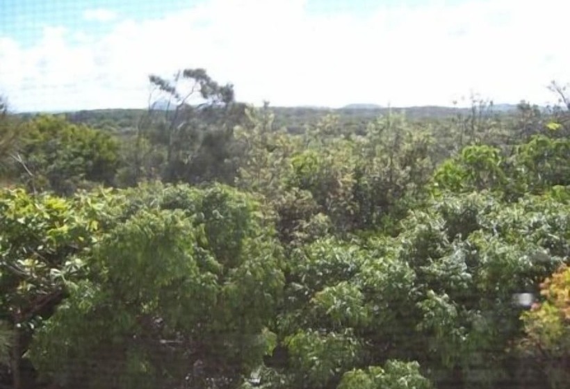 Seamistral   1/21 Oriole Avenue