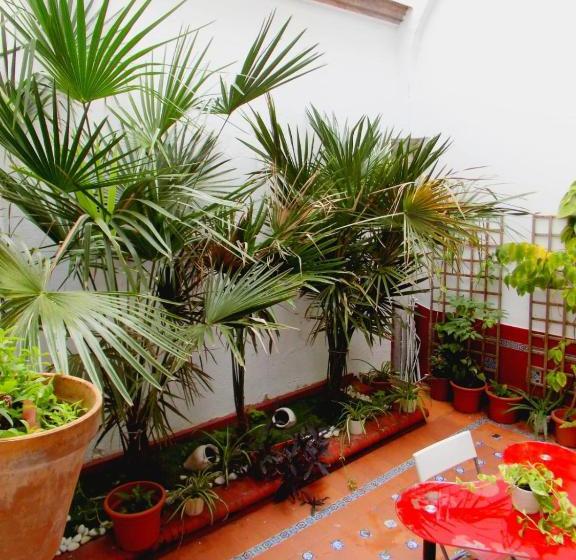 هاستل Residencia Viriato