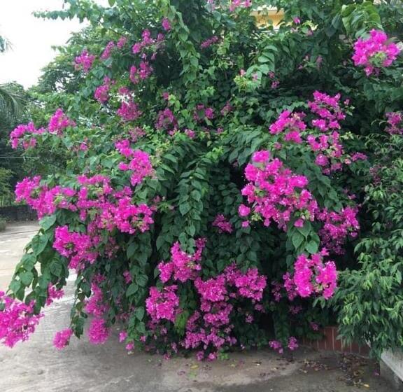 Hotell Khách Sạn Hà Phương