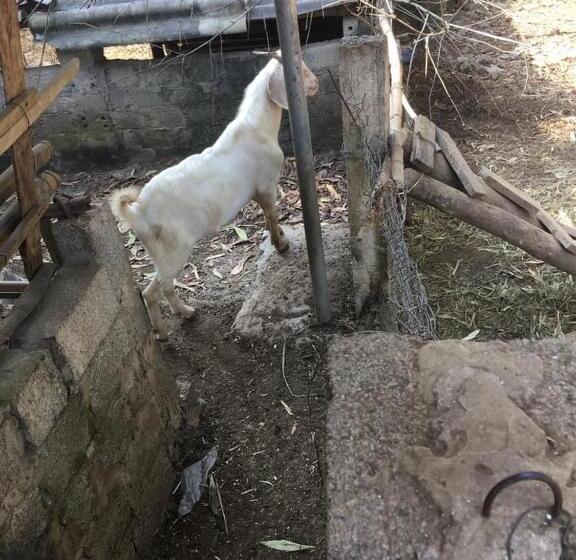 Hotell Khách Sạn Hà Phương