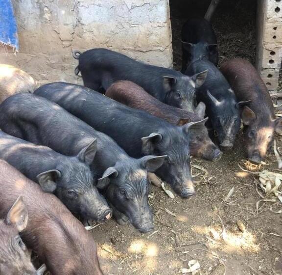 Hotell Khách Sạn Hà Phương