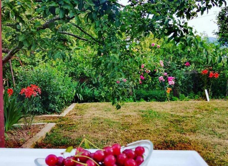 پانسیون Apartman Gm   Sobe