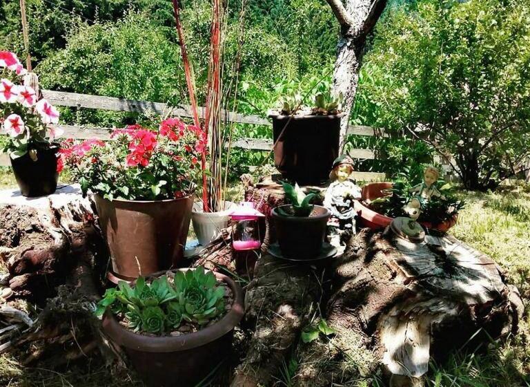 پانسیون Apartman Gm   Sobe