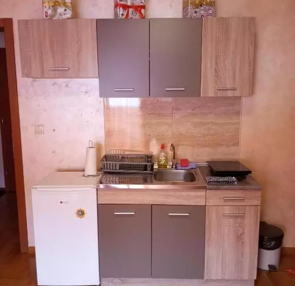 پانسیون Apartman Radmanovac
