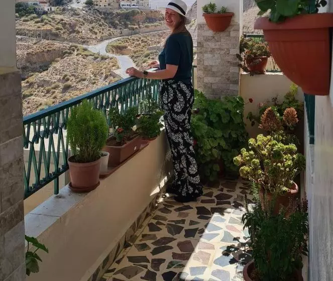 پانسیون The Old House