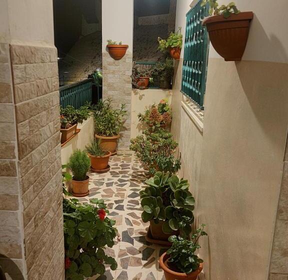 پانسیون The Old House