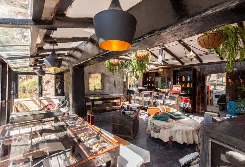 Hostel Wolf Totem Steam Punk Guesthouse