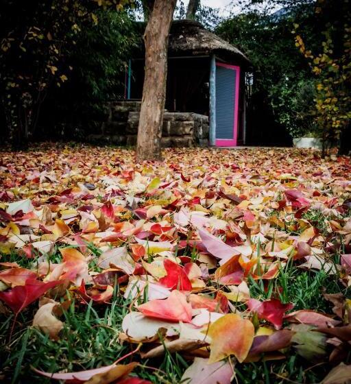 펜션 Gypsy Guest House Clarens