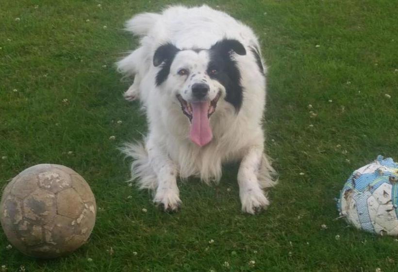 Pure Wellness Sea View Beluga & Dolphin Luxury Hotel Apartments