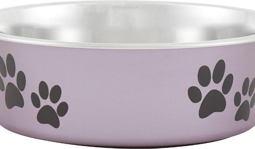 Pure Wellness Sea View Beluga & Dolphin Luxury Hotel Apartments