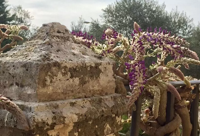 هتل Palazzo Di Valli