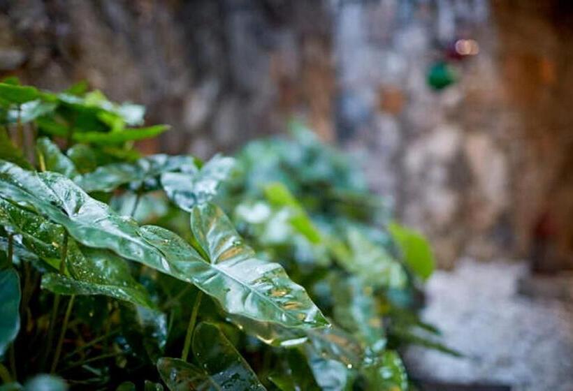 Bed and Breakfast Bamboo Villa Kandy