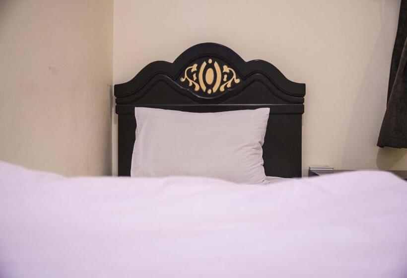 酒店 Al Eairy Apartment Alqaseem 4