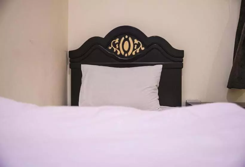 هتل Al Eairy Apartment Alqaseem 4