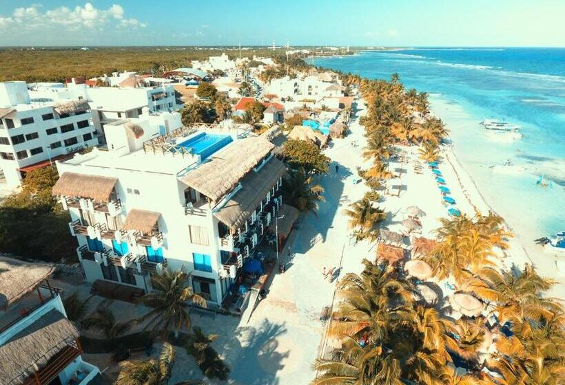 فندق Blue Reef Frente Al Mar