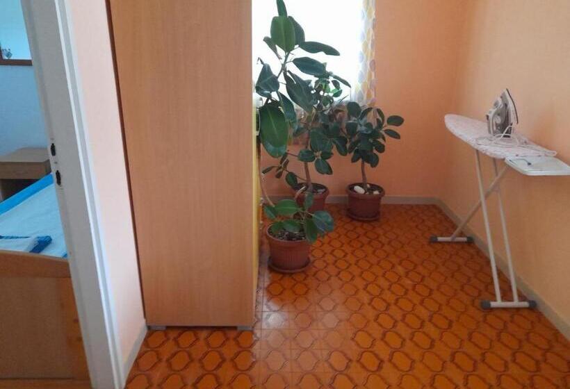 پانسیون Anita Guest House