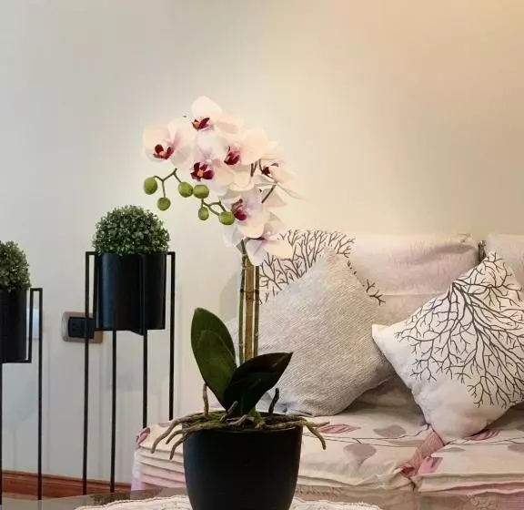 ペンション Cusco Magico 2   Aparthotel Condominio Las Torres Kayser Ii