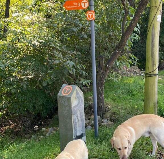 펜션 Hanul Conitei