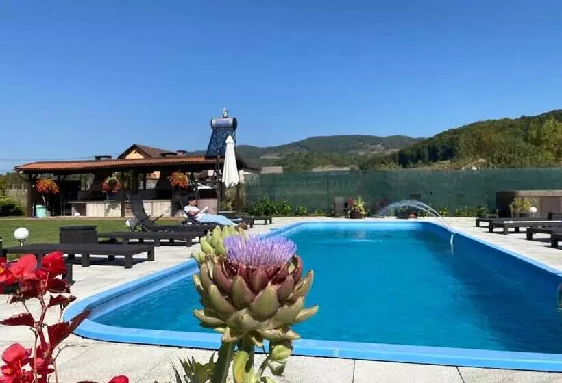 Pensió Hanul Conitei