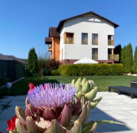 펜션 Hanul Conitei