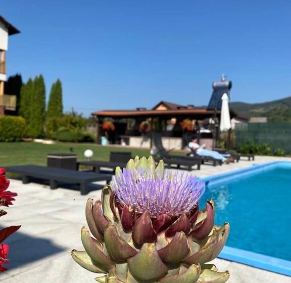 펜션 Hanul Conitei