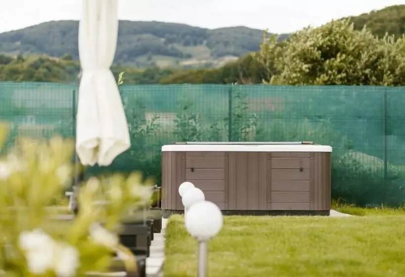 Pensió Hanul Conitei