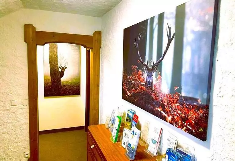 Majatalo Panoramablick Ferienwohnungen