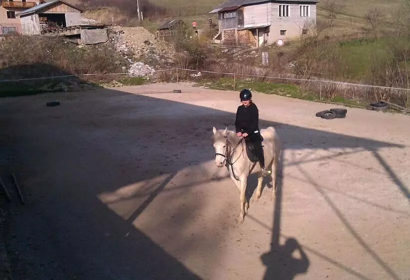 پانسیون Penzion Leštiny