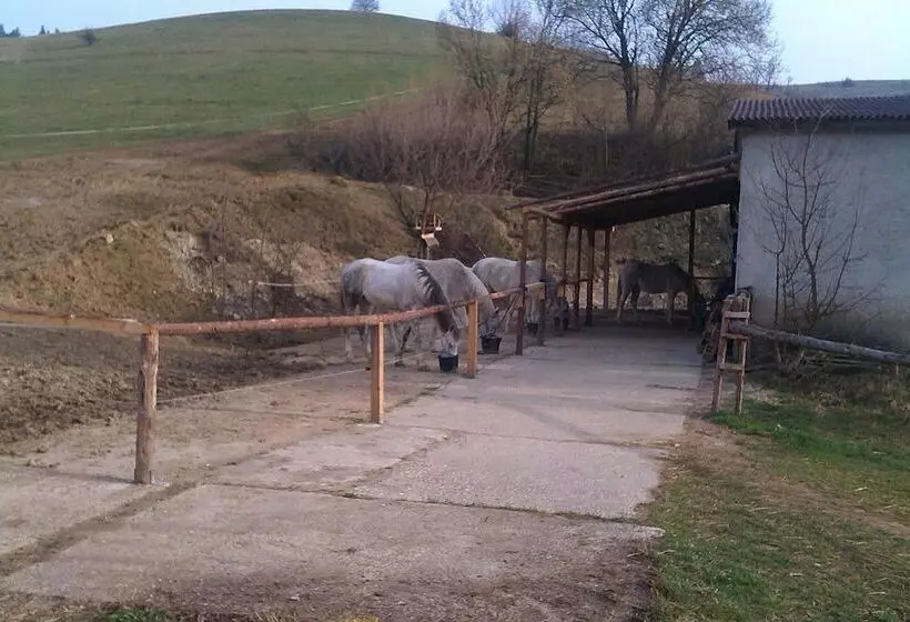 پانسیون Penzion Leštiny