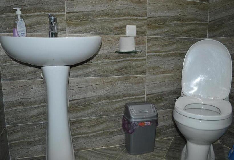 پانسیون Tsminda Giorgi Apartment