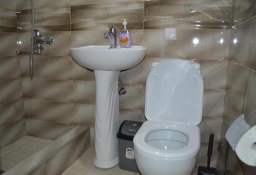 پانسیون Tsminda Giorgi Apartment