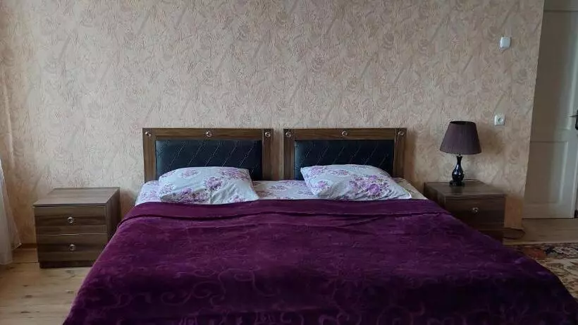 پانسیون Tsminda Giorgi Apartment