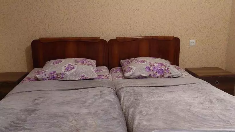پانسیون Tsminda Giorgi Apartment