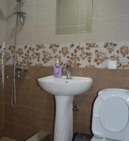 پانسیون Tsminda Giorgi Apartment