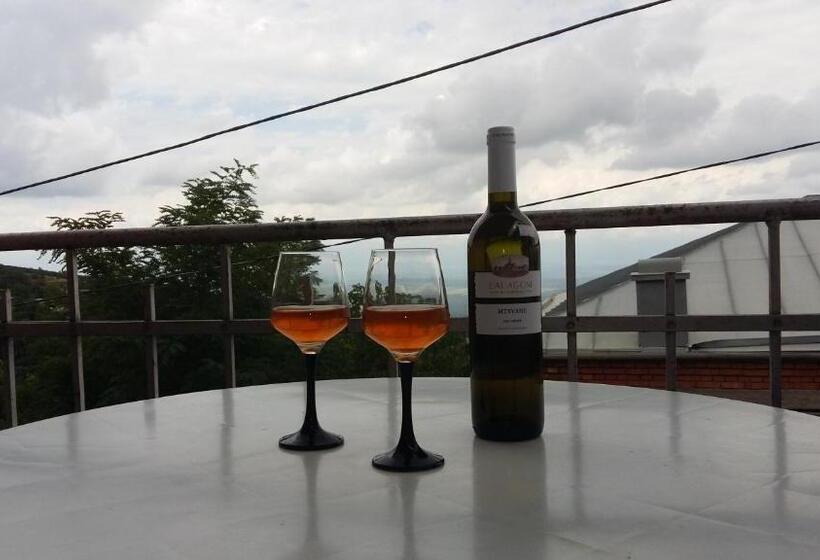 پانسیون Tsminda Giorgi Apartment