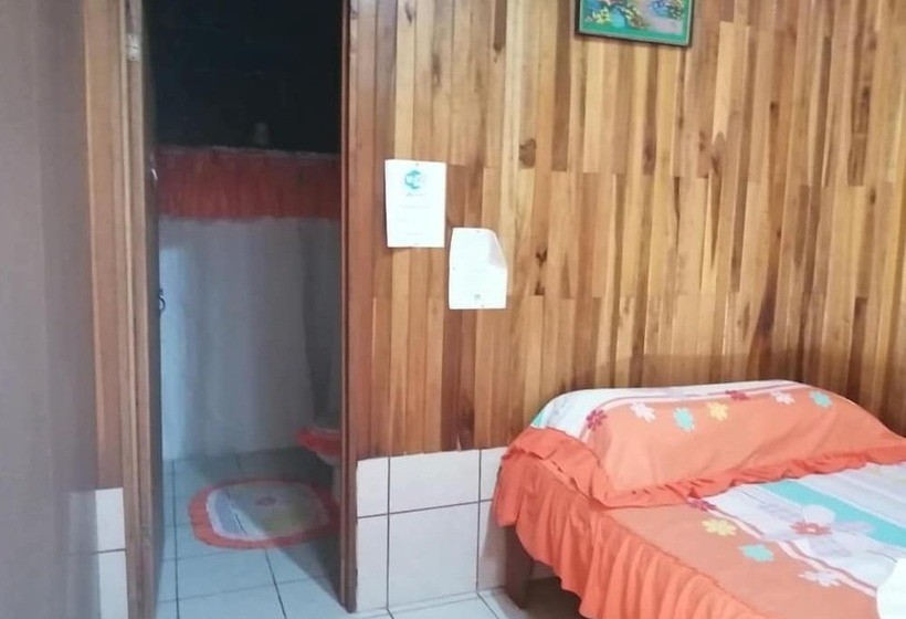Pensión Y Cabinas Colibrí B&b Costa Rica