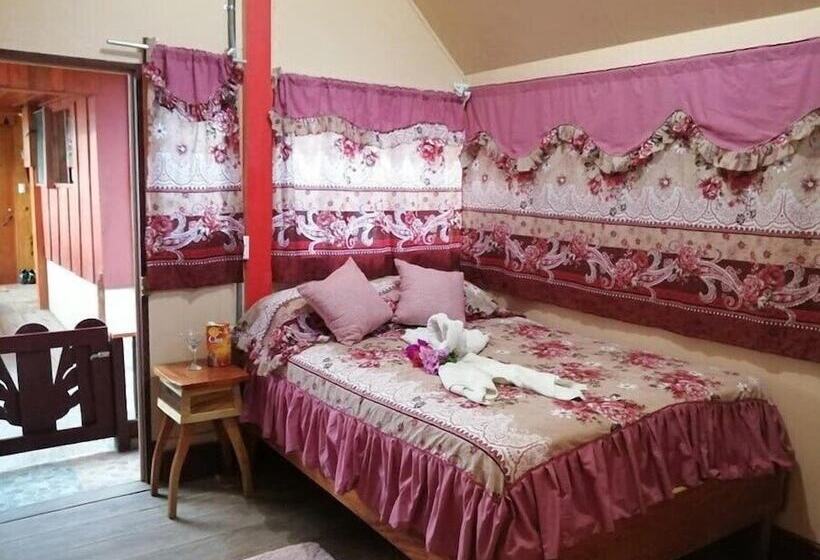 Pensión Y Cabinas Colibrí B&b Costa Rica