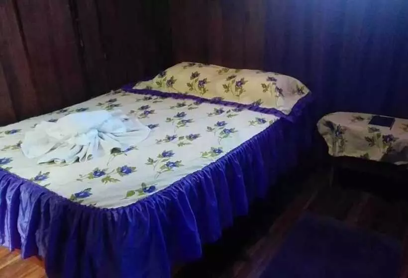 Pensión Y Cabinas Colibrí B&b Costa Rica