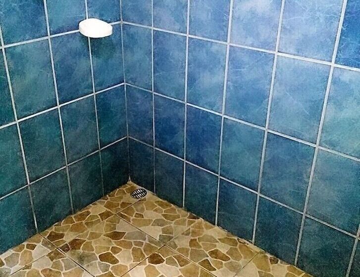 Pensión Y Cabinas Colibrí B&b Costa Rica