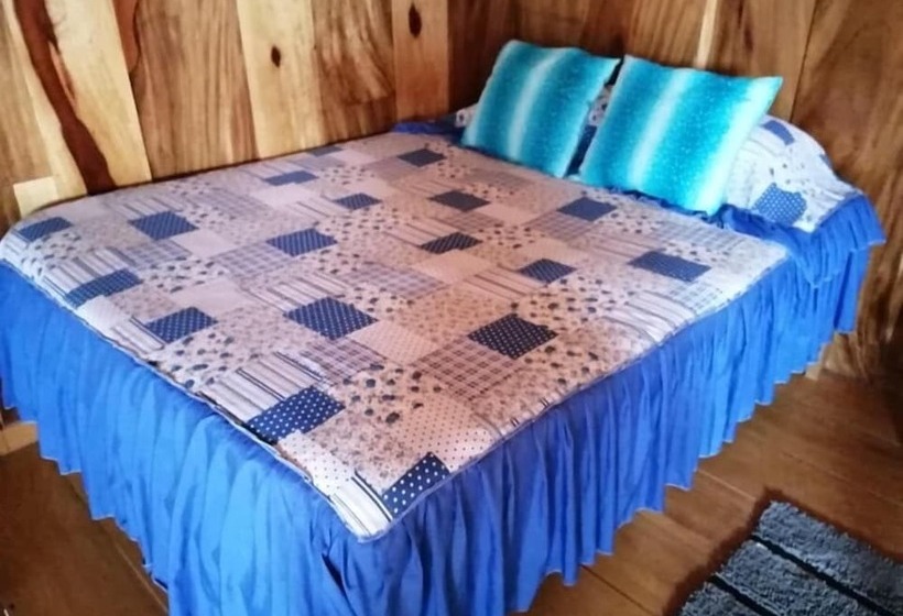 Pensión Y Cabinas Colibrí B&b Costa Rica