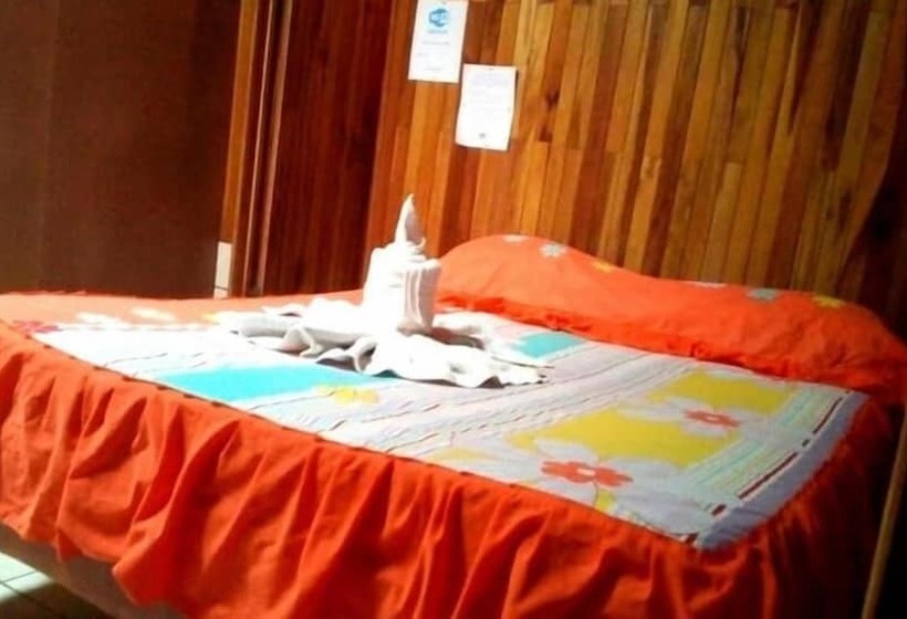 Pensión Y Cabinas Colibrí B&b Costa Rica